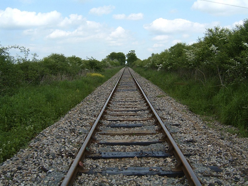 File:Patch Elm Lane3.jpg