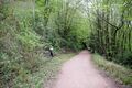 The view south from the quarry site with an extant buffer stop peeking out from the greenery. 28.4.26.