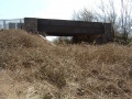 Included for completeness. A not too brilliant photo of the bridge as viewed from a mass of brambles.