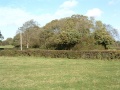 An embankment close to the site of Nailsea goods yard that marks the alignment of a railway that lead from Young Wood Colliery to Brunel's Bristol & Exeter. The colliery was out of use as early as 1892. This tramway also led to White Oak colliery which was a short distance north of Young Wood. 24.10.04