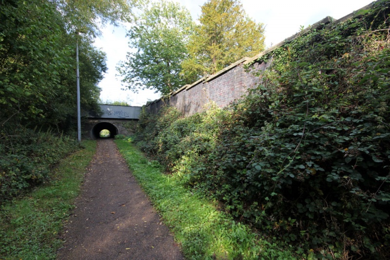 File:Selsley Hill3.jpg