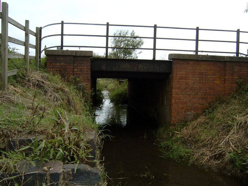 File:West Mead Rhyne6.jpg