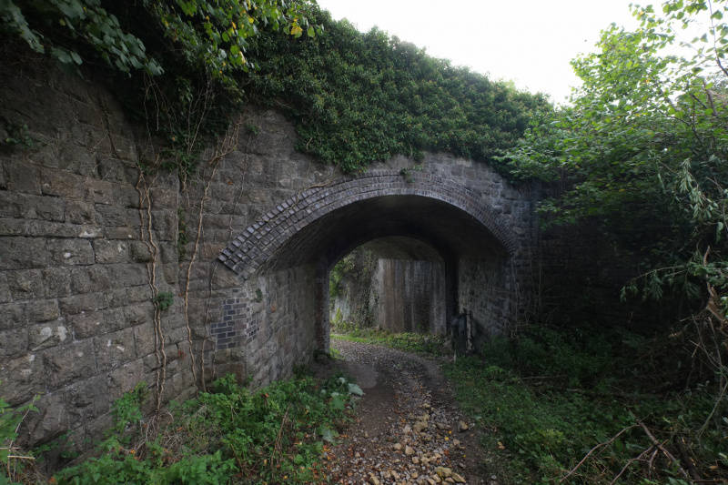 File:LTOB1.jpg