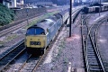 An unidentified Western rolls through the station with a Paignton to Cardiff service. The goods yard in the background is very busy. © Andy Kirkham