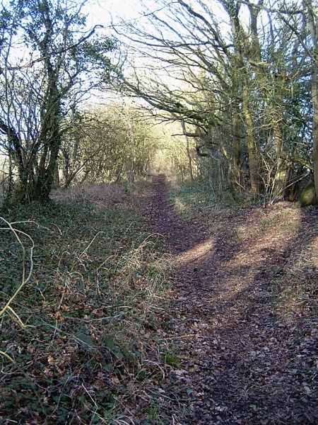 File:Frog Lane5.jpg