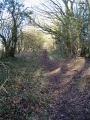 Further along the trackbed. According to the map, this is where the spur that went to Coalpit Heath station left the line.