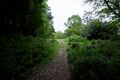Approaching the site of Tidenham station from the south. 28.4.26