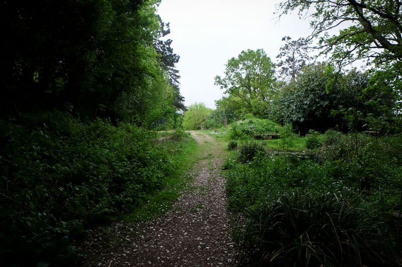 File:Tidenham1.jpg