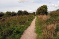The view towards Yatton.