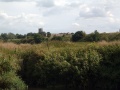A view of the north side of the embankment west of Keynsham station. This is the view from a favourite picnic spot on the River Avon. The other side of the embankment runs parallel to the A4 Keynsham Bypass and used to carry the word 'Somerdale' along its length.
