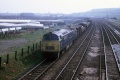 A superb view of a Western hauling a freight out of West Depot. © Andy Kirkham