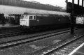 47137