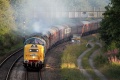 55022
