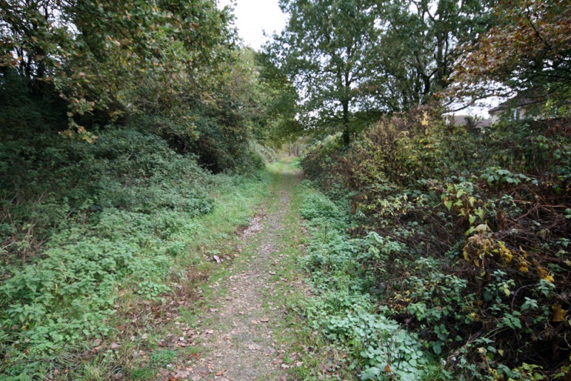 File:Darcy Close2.jpg