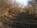 The low winter sunshine lights up the footpath that follows the railway embankment between Glenfrome Road and Eastgate Road. The top of the embankment itself isn't walkable, being covered in trees and bushes.