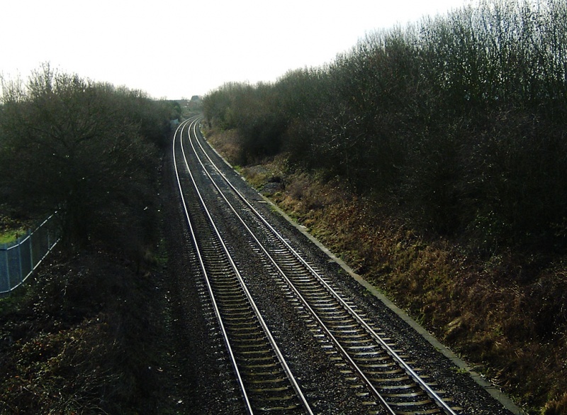 File:Goose Green1.jpg