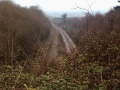 Standing on Over Lane and holding my camera above my head, and above the brambles, to get a glimpse of the line as it disappears towards Wales. The footbridge in the distance is next to Cattybrook Brickworks.
