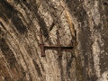 And brackets for carrying telegraph wires.