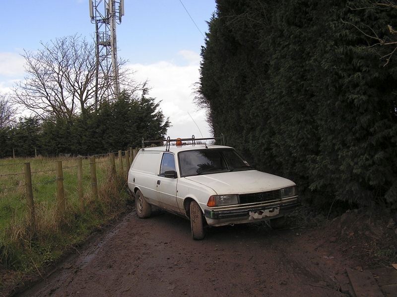 File:Curtis Lane12.jpg