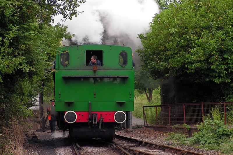 File:Polish Day3.jpg