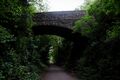 The view south from the mouth of Tidenham Tunnel.