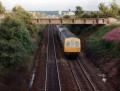 Unit 101304 leaves Larbert Station on 16.7.81.