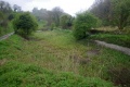 The view west from atop the bridge. A large canal basin sits in front of Puck Mill Lower Lock.
