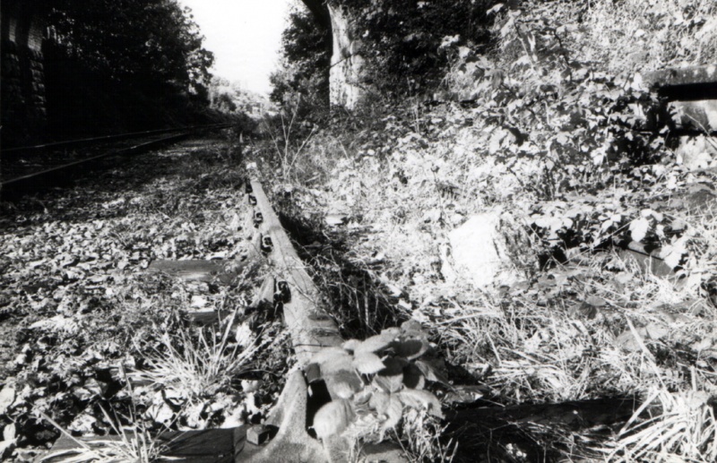 File:Ashton Gate4.jpg