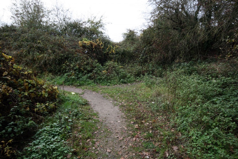 File:Darcy Close1.jpg