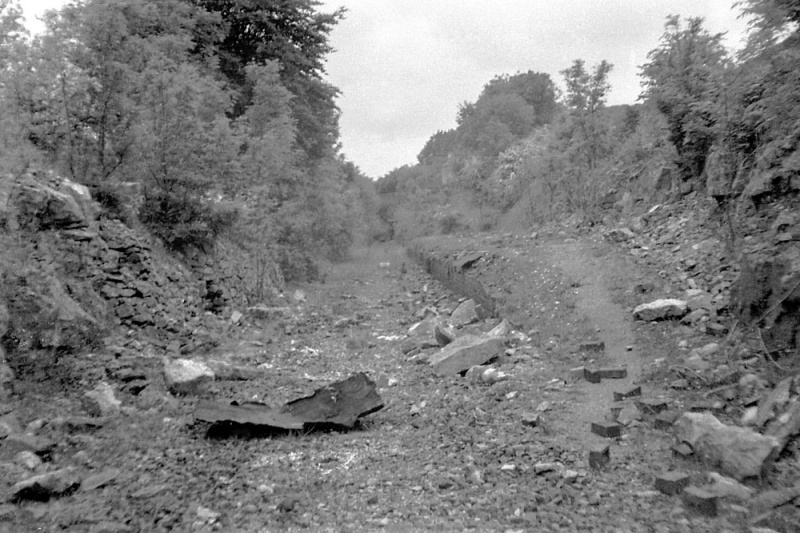 File:Combe Hay Halt1.jpg