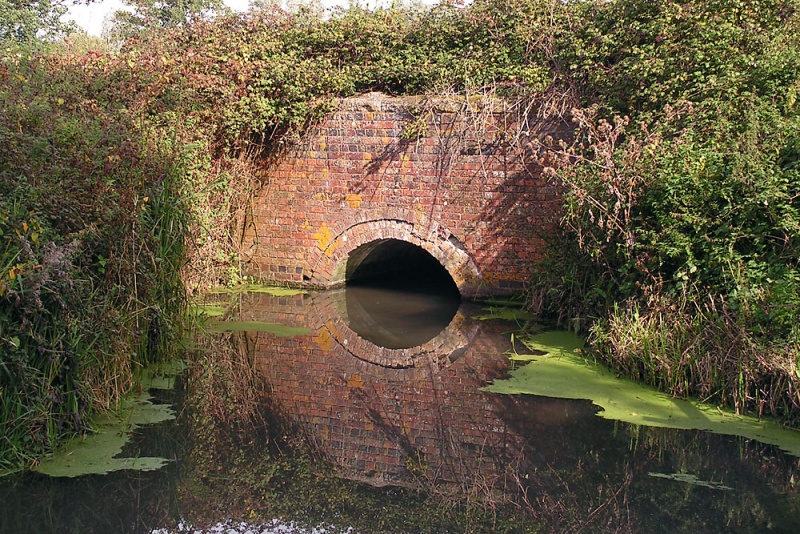 File:New Rhyne - Congresbury1.jpg