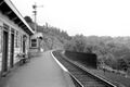 A view of Midford station taken in 1962. © John Thorn