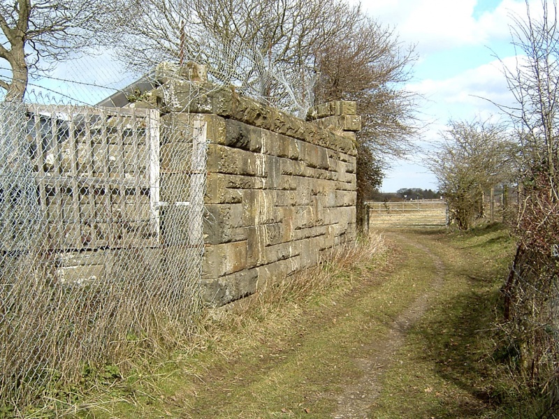 File:Beech Hill7.jpg