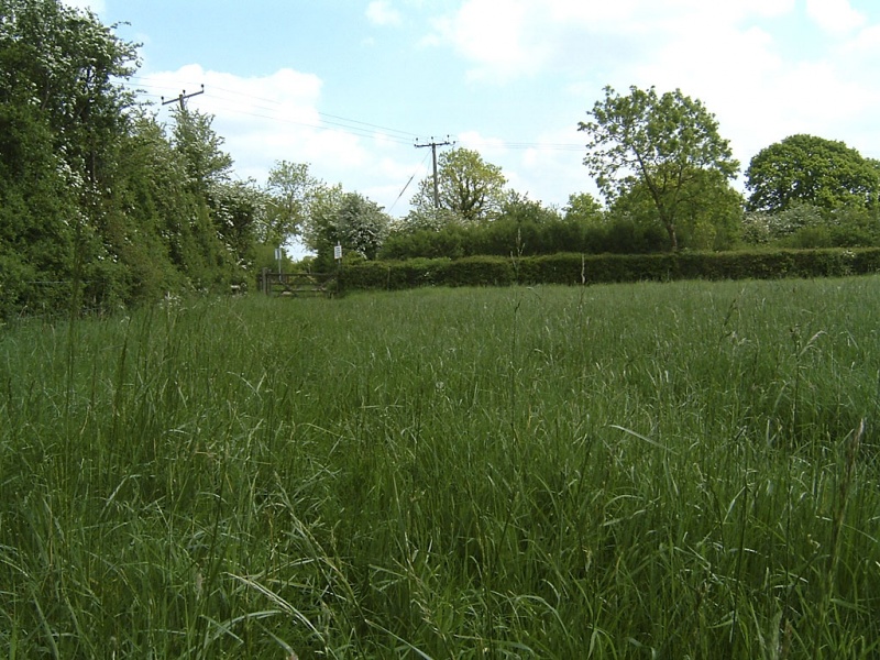 File:Northmead Lane4.jpg