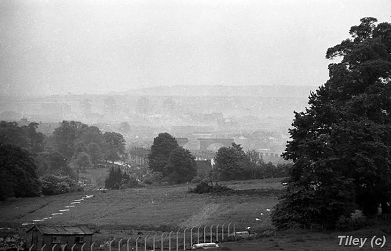 File:13 Arches Viaduct7.jpg