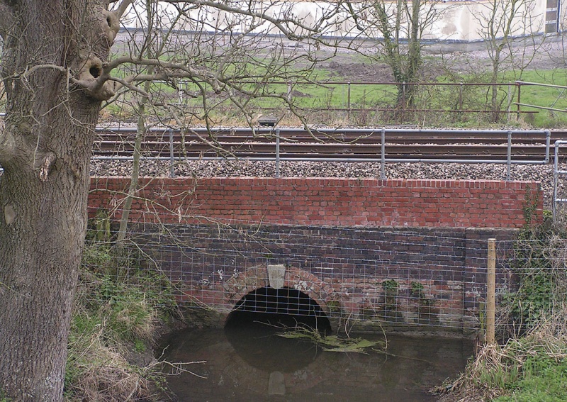 File:Balls Yeo Rhyne2.jpg