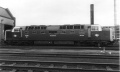 55018