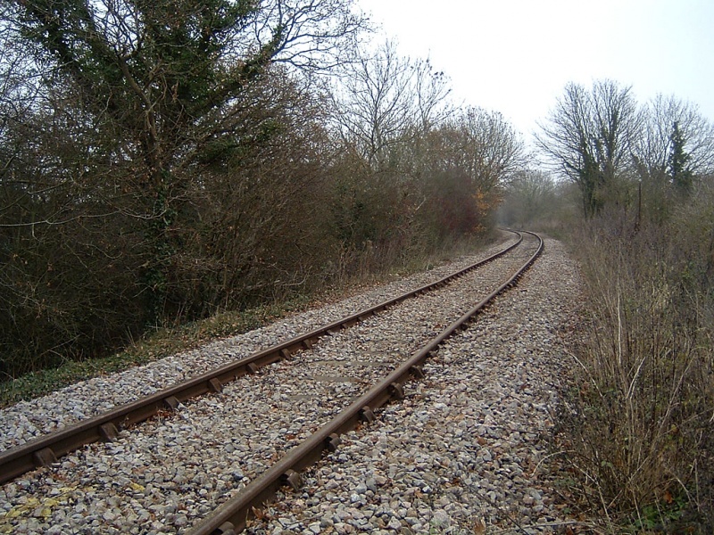 File:Robins Wood2.jpg