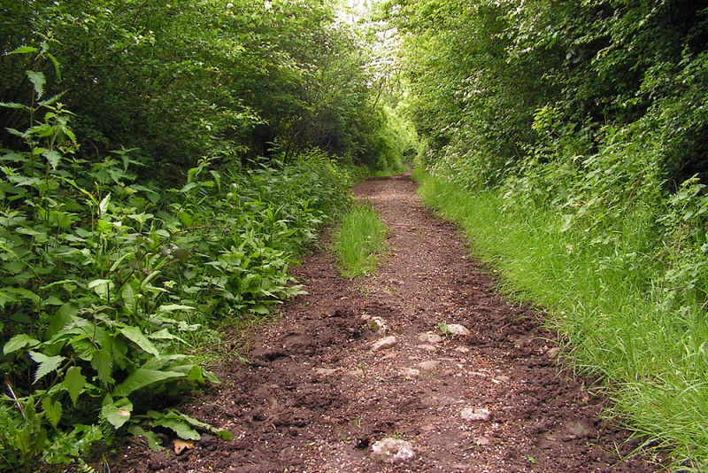 File:Yate Colliery Tramway11.jpg