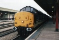 37429