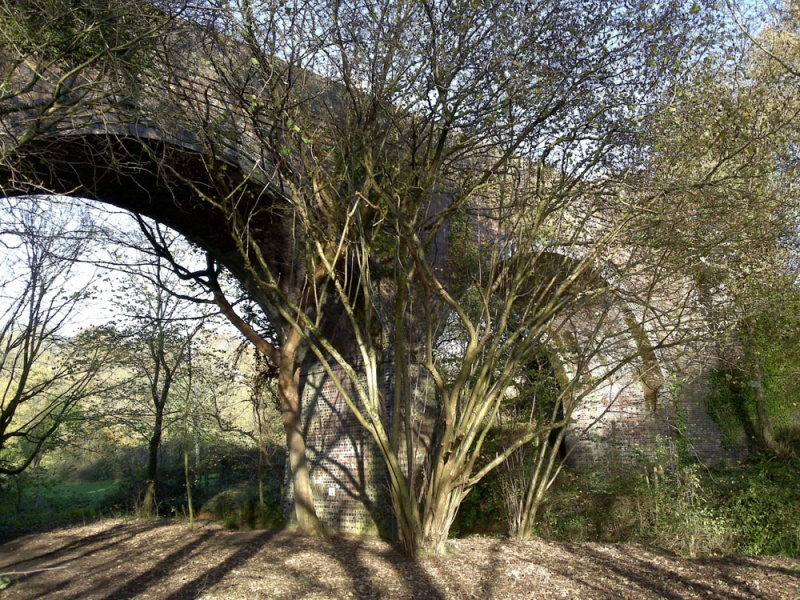 File:Cam Brook Viaduct1.jpg