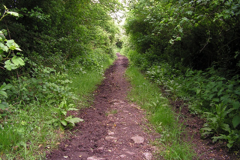 File:Yate Colliery Tramway12.jpg