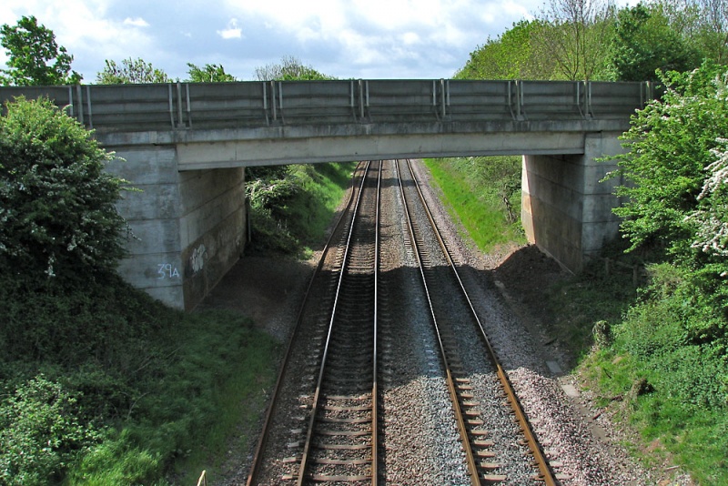 File:Goose Green7.jpg