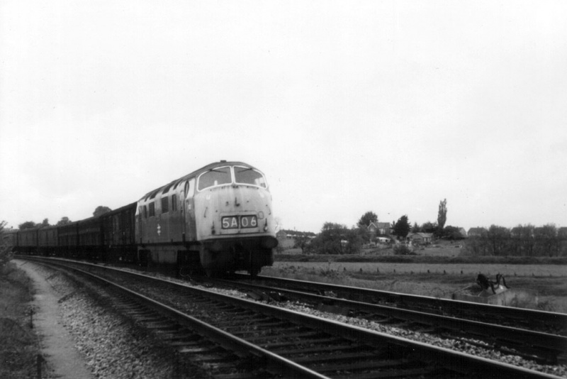 File:D820-1.jpg
