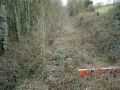 The same view from higher up. (roadside). Despite all the greenery it's still possible to see a red buffer stop. This was the headshunt for Tytherington Quarry. The line that went through Grovesend Tunnel was to the left (in this photo) of this headshunt and at a much lower level.