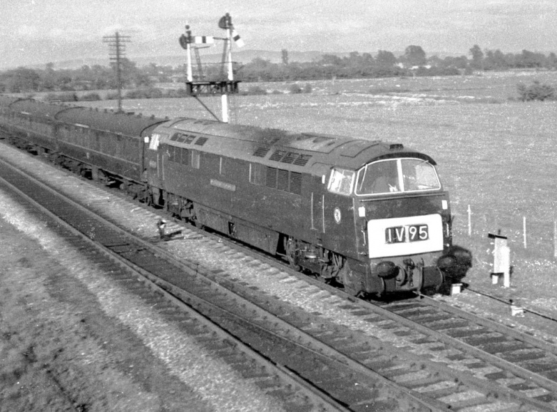 File:John Thorn7.jpg