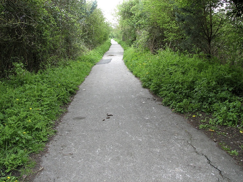 File:Whitchurchfootpath4.jpg
