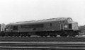 46021