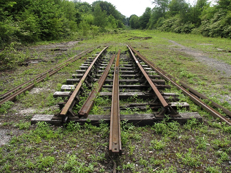 File:Ashton Meadows Sidings13.jpg