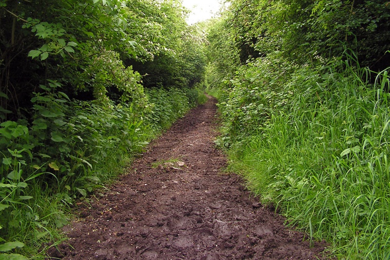 File:Yate Colliery Tramway10.jpg